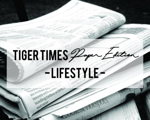 tt-paper-lifestyle