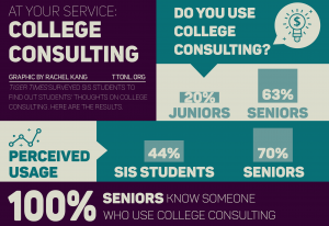 college-consulting-infographic