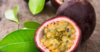 PASSIONFRUIT attracts crowds with engaging new merchandise