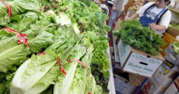 Romaine lettuce responsible for multistate E. Coli outbreak