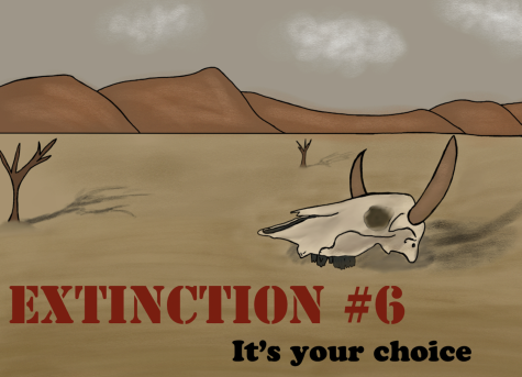 Your choice: human-caused mass extinction