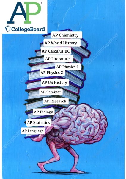 Myth of AP courses: more is the better