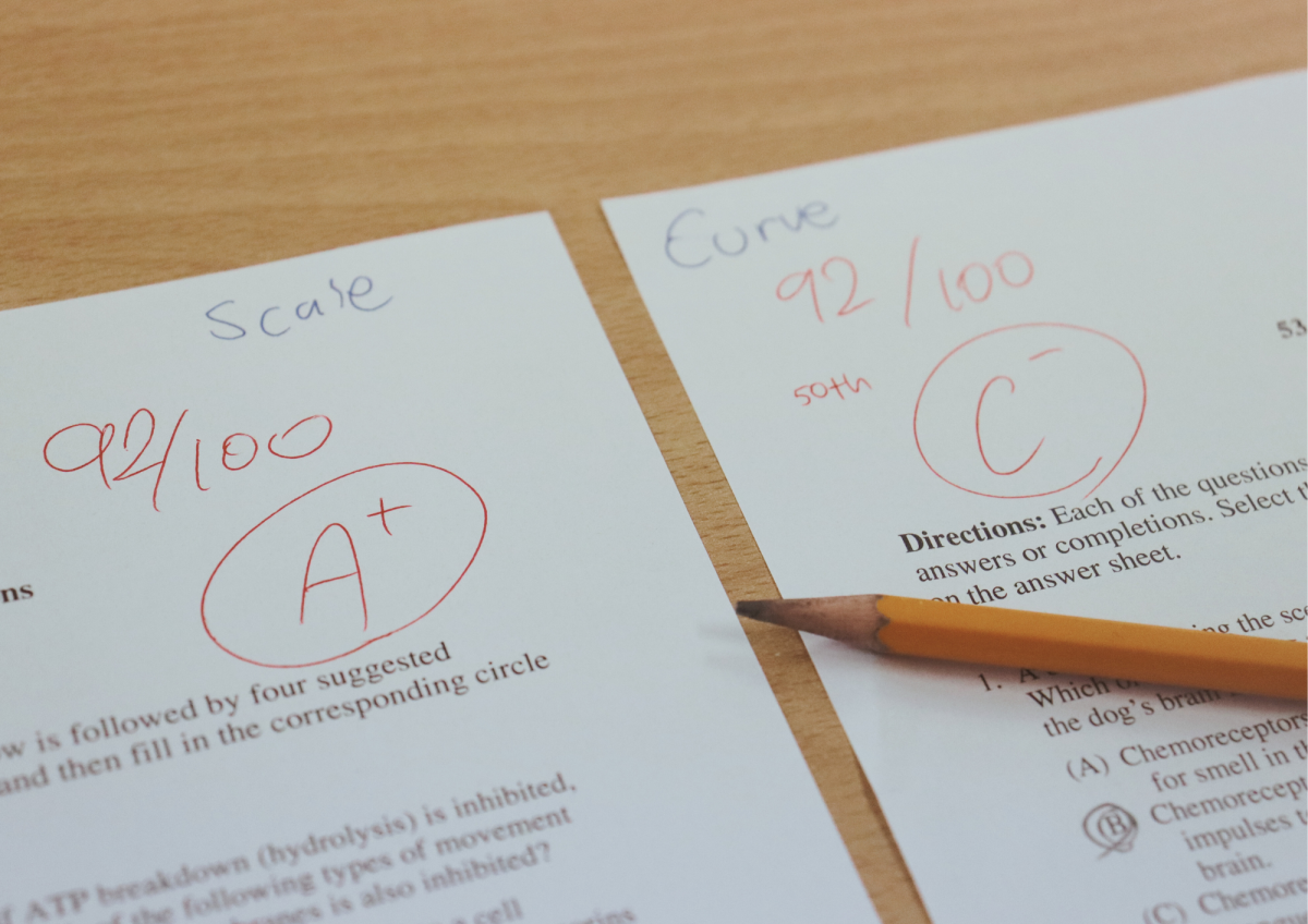 Difference between scale and curve grading systems