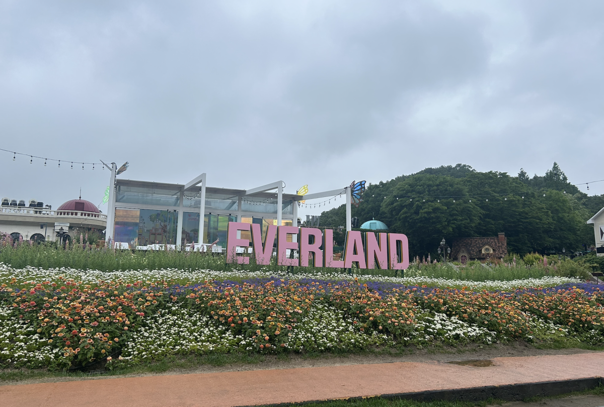 Rose garden in Everland 

